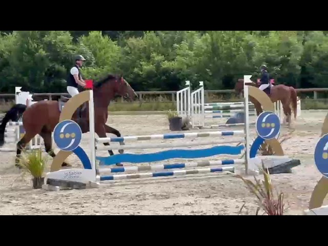 Vends cheval CSO 5 ans