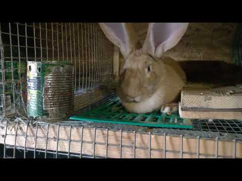 Подпускать или подождать?