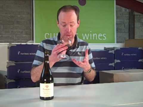 download lagu mp3 mp4 Talinay Pinot Noir, download lagu Talinay Pinot Noir gratis, unduh video klip Talinay Pinot Noir