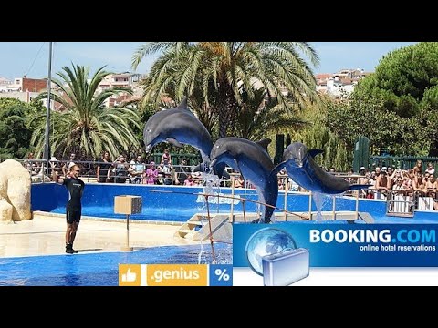 Gagner un voyage gratuit en Espagne, Madrid delphinarium