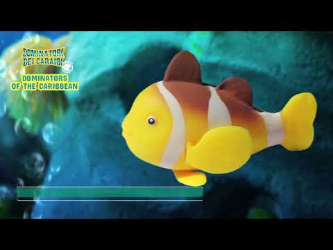 Swim together with the Dominators of the Caribbean 🐡 #sbabam in English. @SbabamItalia