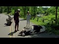 Fous D Irène Le Passage De La Vache