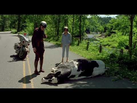 Fous d'Irène - le passage de la vache :)