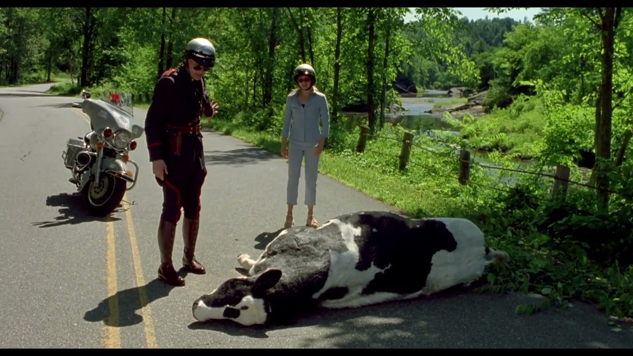 Miniature de la vidéo Fous d'Irène - le passage de la vache :) du film Fous d'Irène