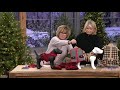 Martha Stewart Buffalo Check Dog Harness W Coordinating Leash On QVC