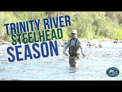 Trinity River Steelhead || When is the Season? || Confluence Outfitters