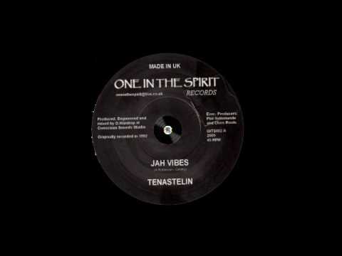 Tenastelin ‎– Vibes Dub – B1