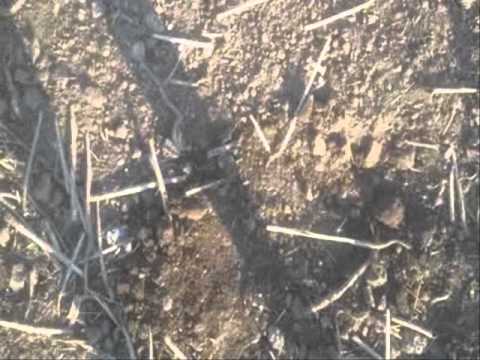 Moje Wykopki Odc 122 (SE02 E22)