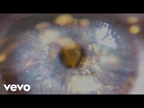 Charles Pasi - The Eyes Of Cécilia (Visualizer)