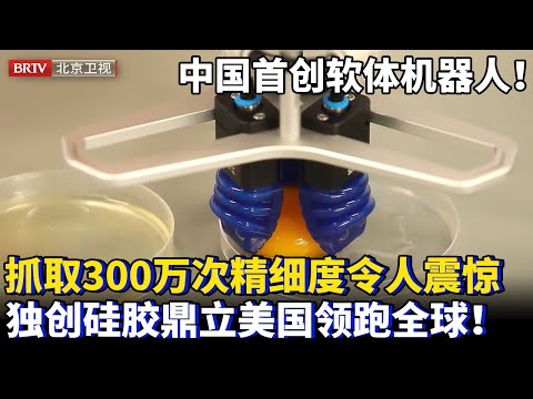 中国首创软体机器人！独创新型软体硅胶，抓取300万次精细度令人瞠目结舌，填补自动生产最后一步，鼎立美国领跑全球！【为你喝彩】