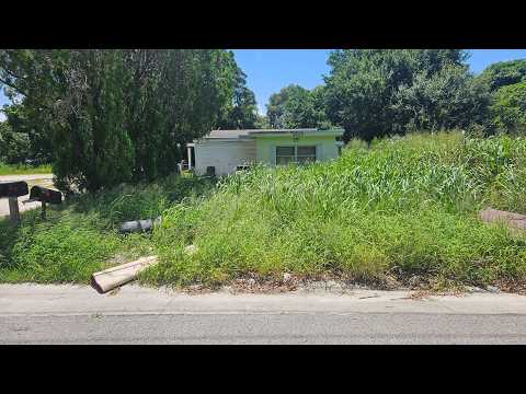 FATHER of 3 Small Children Tried to CUT This OVERGROWN Lawn with a WEED EATER!