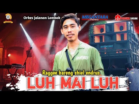 Reggean bareng shiel endrus Luh mai Luh Spesial Request dari pengiring