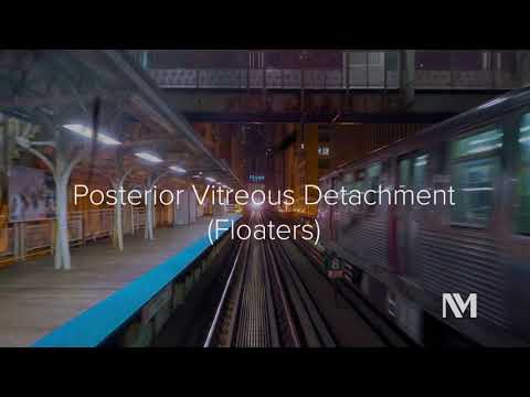 Visualizing Visual Impairments: Part II