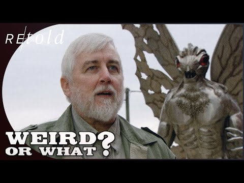 The Mega-Beasts That Are Hiding In Our Oceans: Weird or What S2E3 | Retold