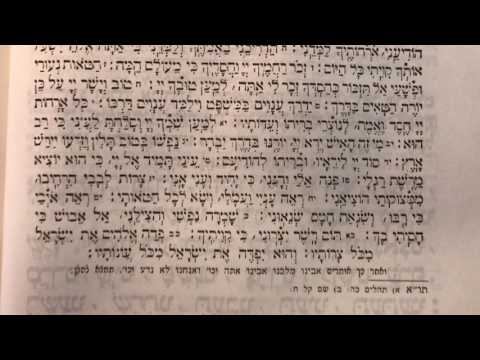 Tefilah 34 Tachnun, LeDavid Hashem - Prayer - Sharchris - תפילה 34 תחנון, לדוד ה׳ נפשי אשא – שחרית