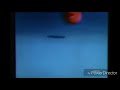 Sesame Street Cecille Up And Down In Out Reversed
