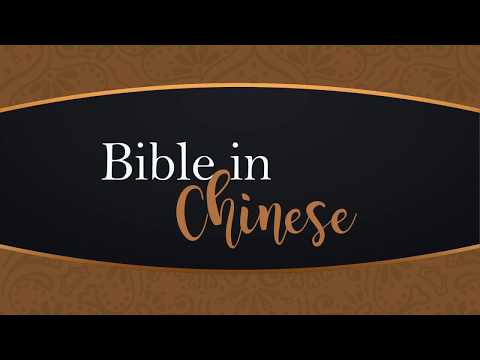 Shengjing Chinese Video