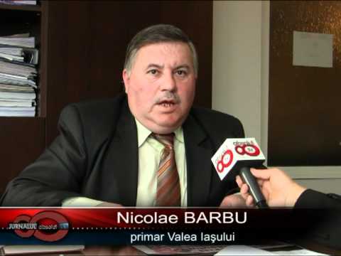 Ziarul comunei valea iasului