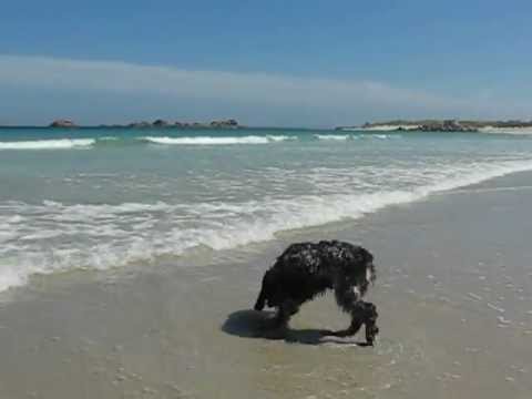 Kerfissien Cléder 2012/08/01 - kacie