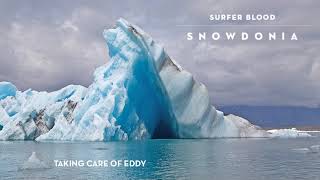 Surfer Blood - Taking Care of Eddy (Official Audio)