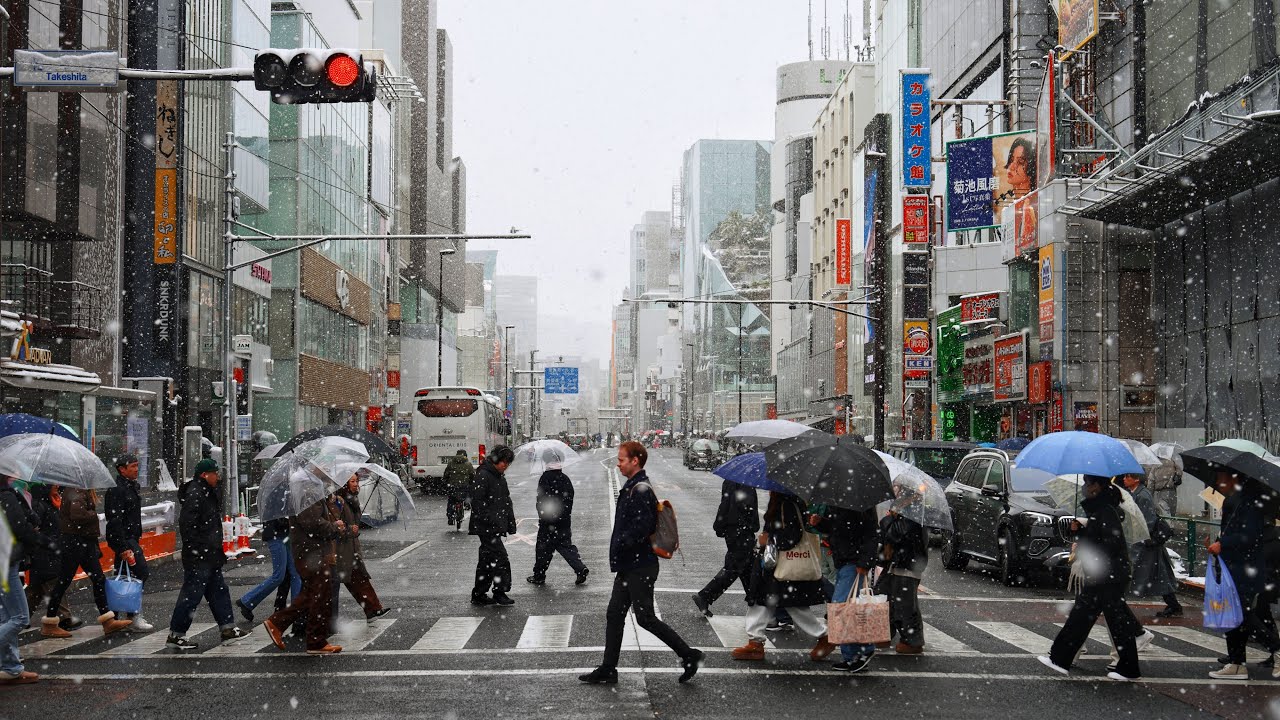 Tokyo Snow - Shibuya, Meiji-Jingu and Shinjuku Feb 8, 2026