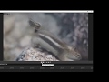 VEGAS Movie Studio 16 Guided Video Creator Tutorial