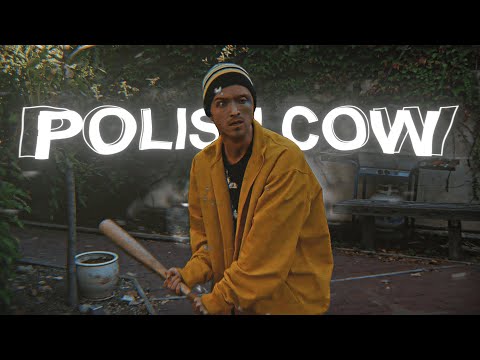 Polish Cow - Breaking Bad
