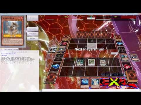 DECK SHOWCASE: Elvis vu 60 card Lightsworn -Zombie-Zoodiac