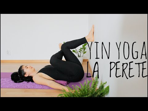 yoga pentru începatori cu video varicose)