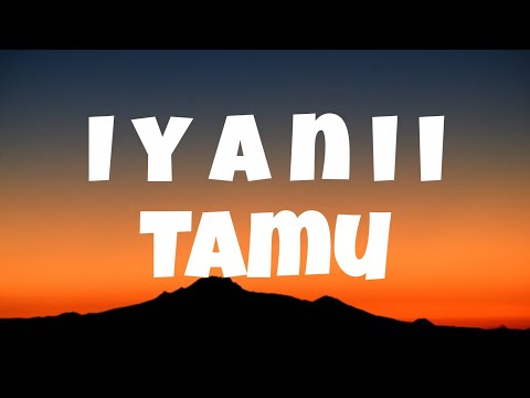 𝗛𝗢𝗢𝗞𝗛𝗨𝗡𝗧𝗘𝗥™ and BOBA VEVO