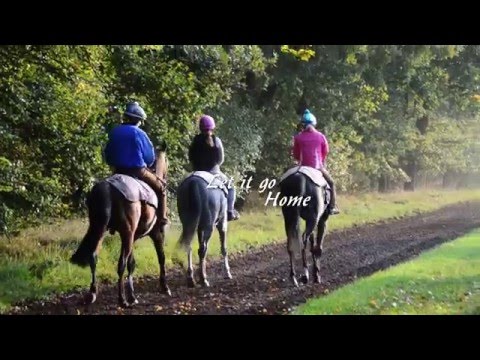 "Niemand, der sein Bestes gegeben hat, hat es später bereut"