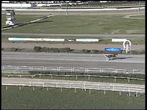 Trotto 06/01/2015 - 3° Prova di qualifica