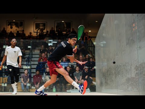 Rally Report Episode 13 - Marwan Tarek