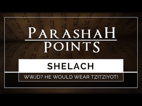 Parashah Points: Shelach – WWJD? He Would Wear Tzitziyot! - 119 Ministries thumbnail