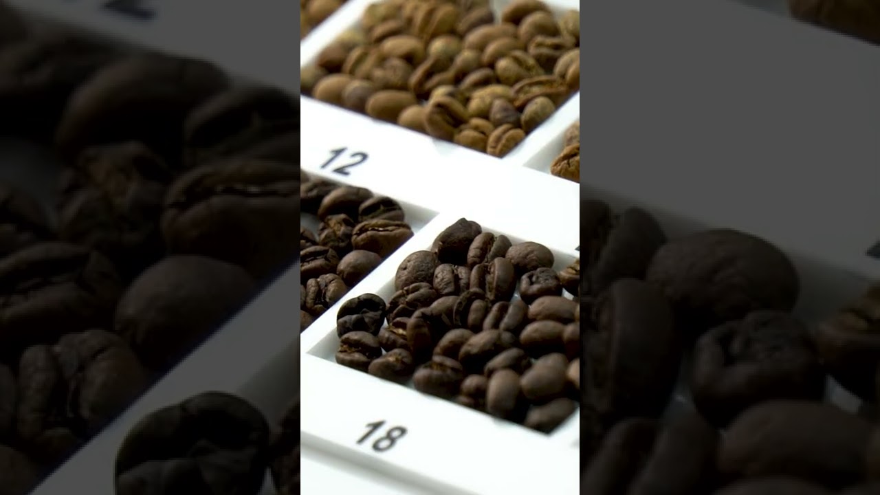 VOCÊ ENTENDE DE PONTOS DE TORRA DO CAFÉ? APRENDA TUDO AQUI