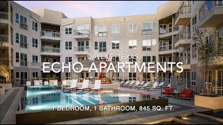 Echo Apartments, Dallas, TX: 1 Bedroom