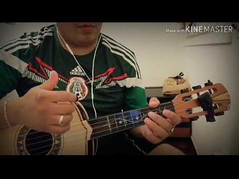 Como Han Pasado Los Años - Mariachi Vargas