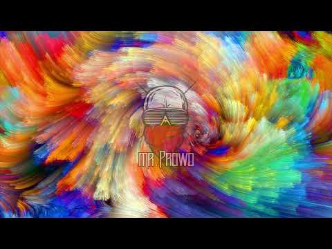Mr. PROWO - Akupunktura (Bonus Track 3) (remix dnb)