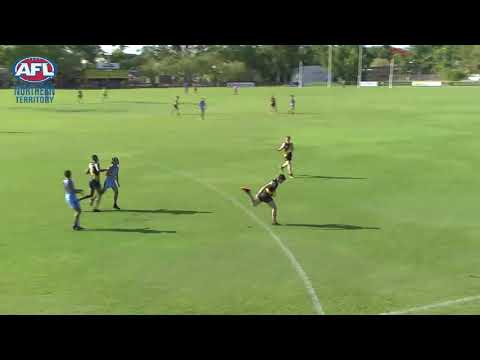 2019/20 TIO NTFL Highlights - Round 6: Tigers vs Buffs highlights