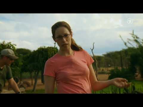 28 - Harnas - Abenteuer Afrika