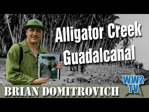 Guadalcanal 1942 - The Battle of Alligator Creek