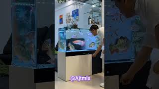 Download lagu Luxury Home Aquarium Setup | Beautiful Arowana Fish & Exotic Tank Mates#koifish #ajtmix #shortvideo mp3 Download lagu Luxury Home Aquarium Setup | Beautiful Arowana Fish & Exotic Tank Mates#koifish #ajtmix #shortvideo mp3
