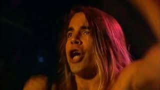 Red Hot Chili Peppers - Green Heaven (Legendado em Português)