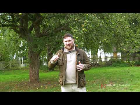 Property video thumbnail
