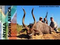 Hunt Nyala In The Limpopo Province Of South Africa