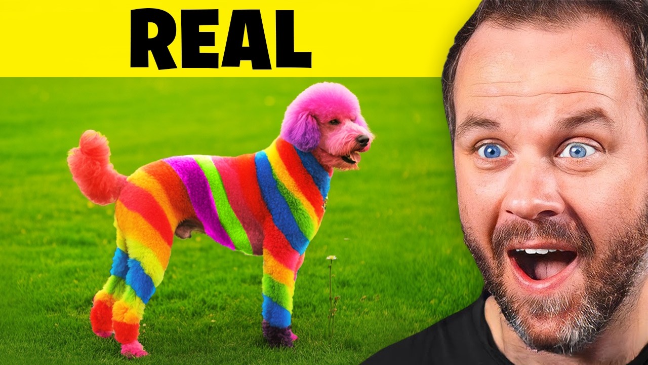 Real or AI?