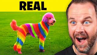 Real or AI?