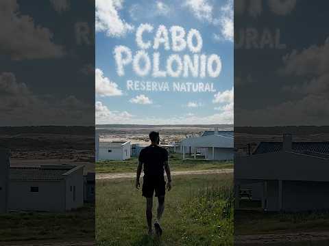 Cabo Polonio es una RESERVA NATURAL 🍃🇺🇾