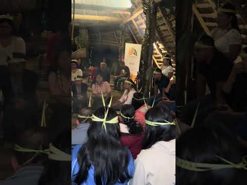 Wayusa Upina #archidona #napo