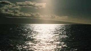 Save the Population- Red Hot Chili Peppers